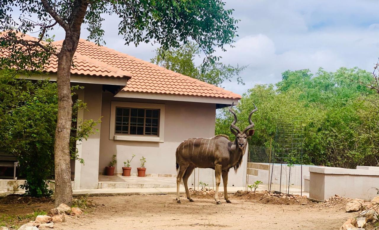 Villa Impala Lily Marloth Park Exterior foto