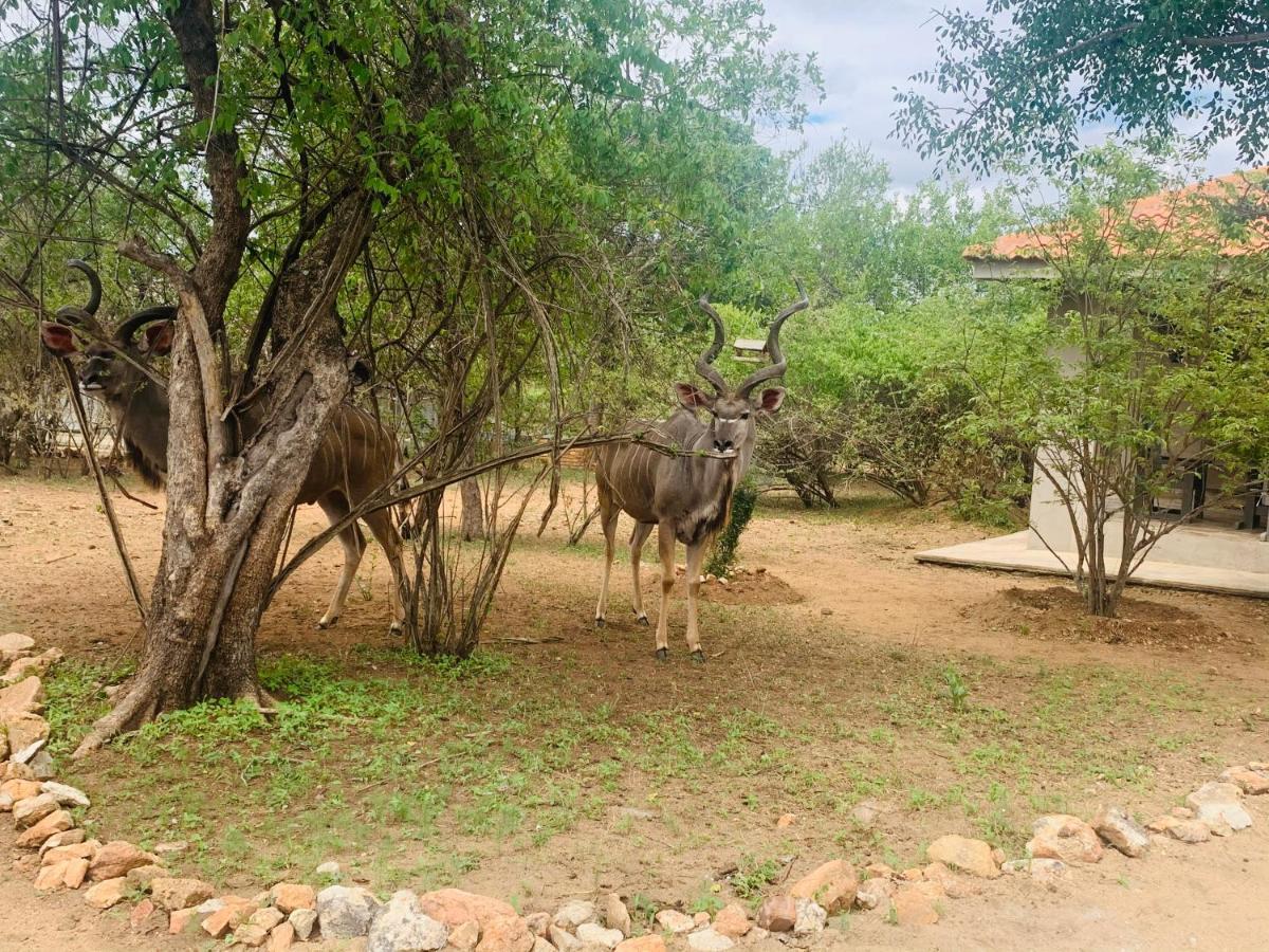 Villa Impala Lily Marloth Park Exterior foto