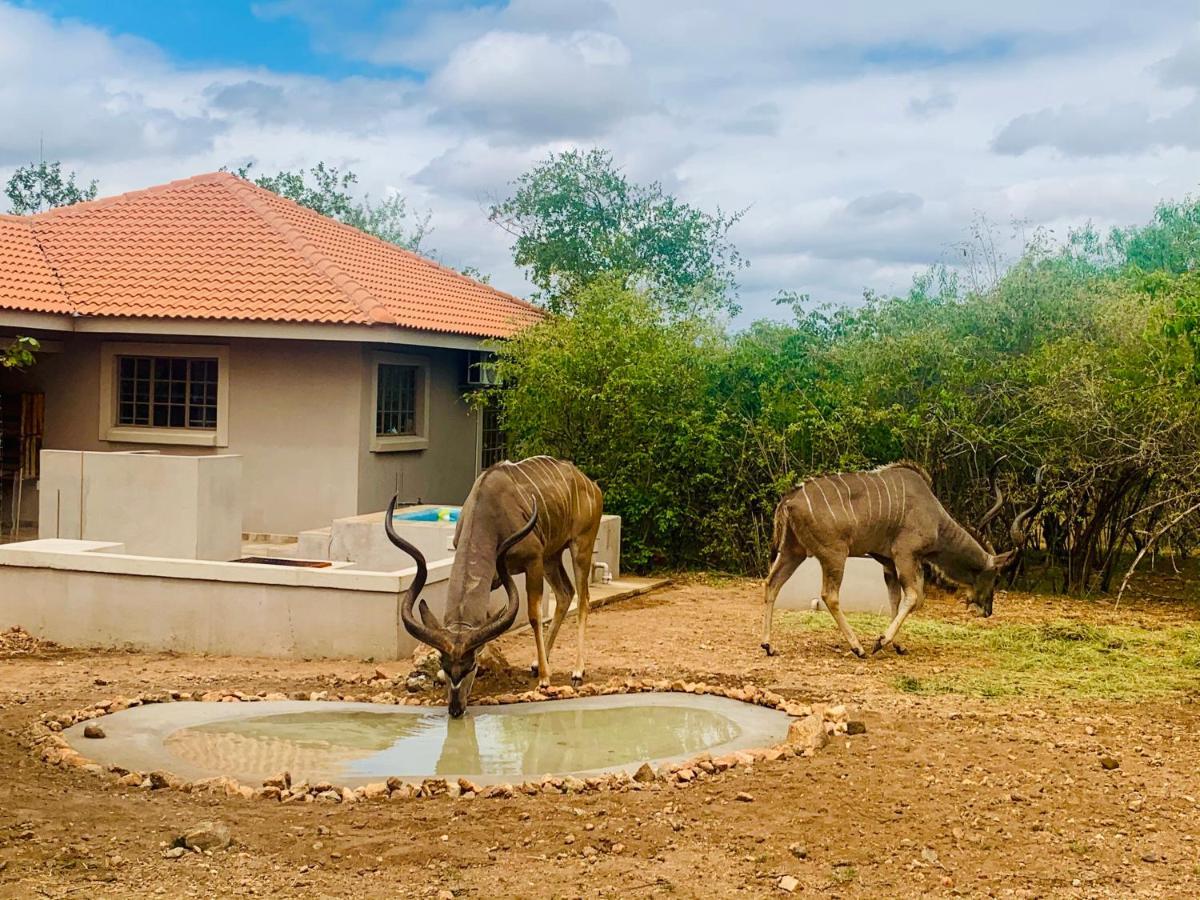 Villa Impala Lily Marloth Park Exterior foto